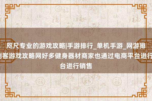 咫尺专业的游戏攻略|手游排行_单机手游_网游排行_剑客游戏攻略网好多健身器材商家也通过电商平台进行销售
