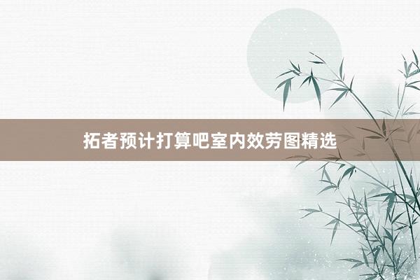 拓者预计打算吧室内效劳图精选
